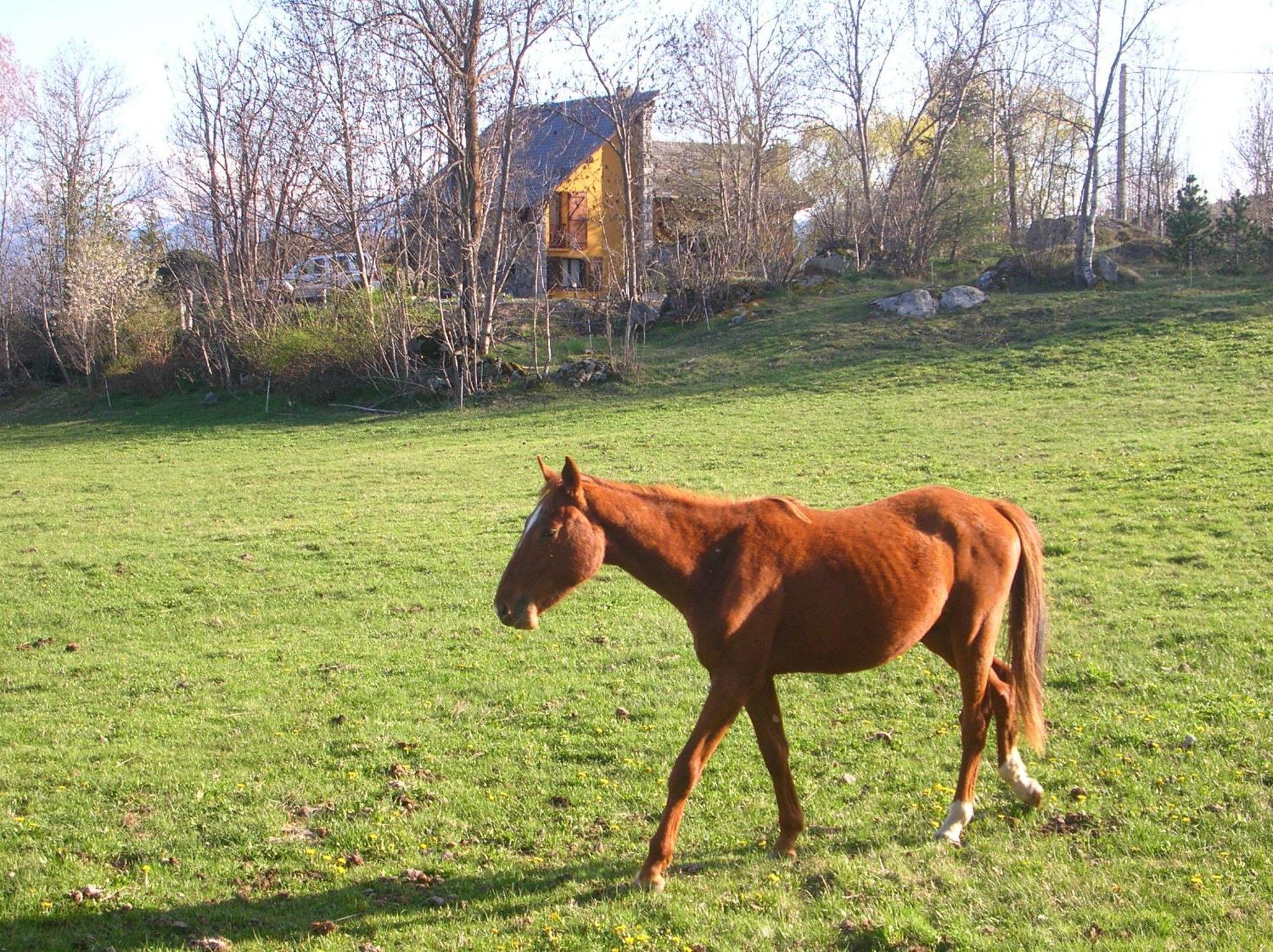 El Balco De Dorres B&B 외부 사진